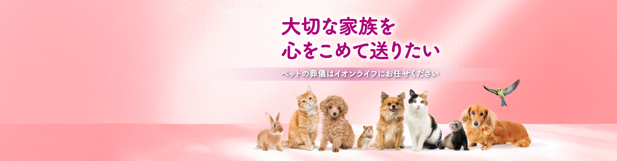 大切な家族を心をこめて送りたい。