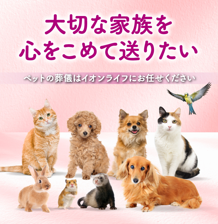 ペット火葬は『イオンのペット葬』